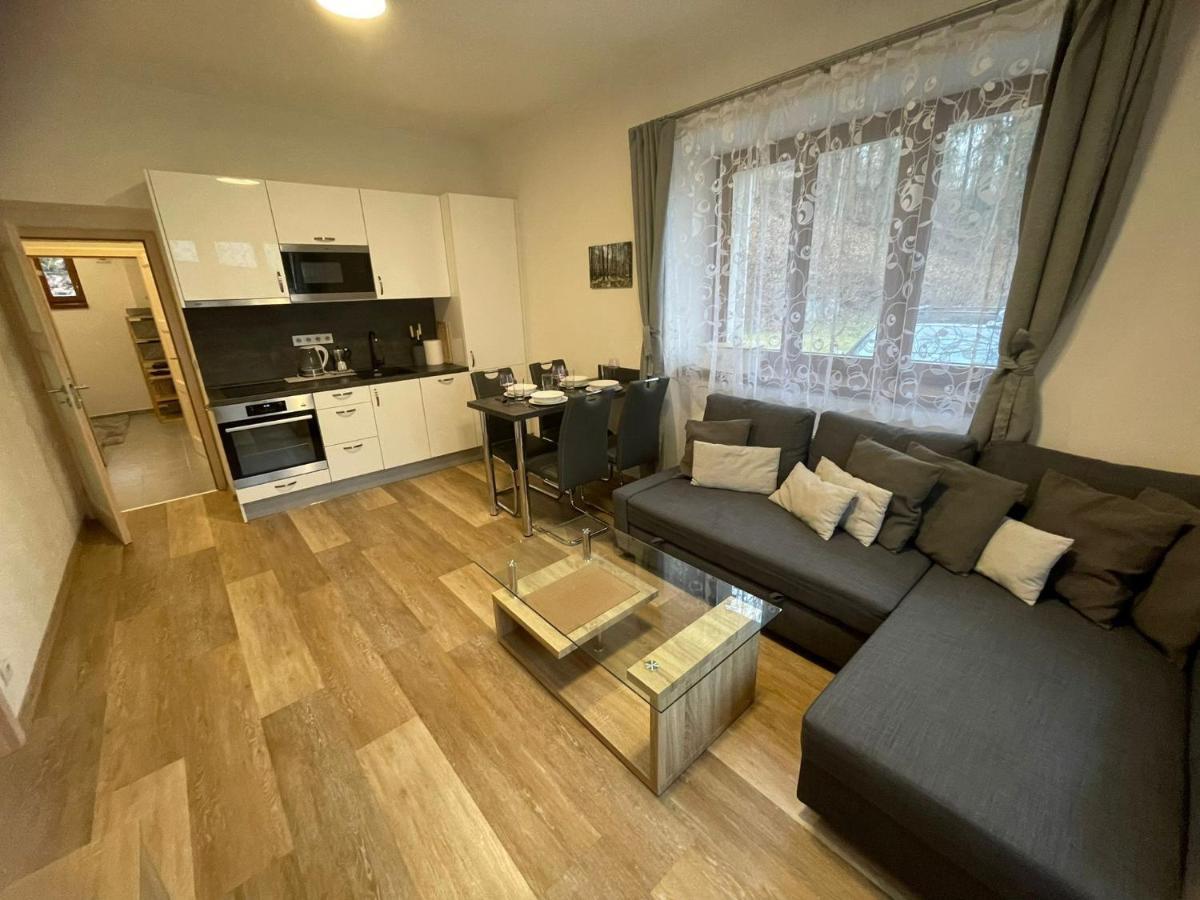 Rocky Apartment Rokytnice nad Jizerou Zewnętrze zdjęcie